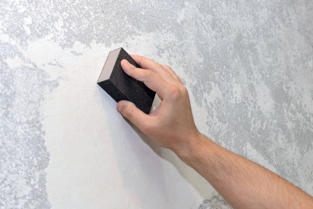 Best Mold Damage Restoration  in Harris Hill, NY