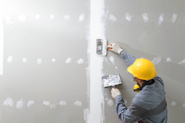 Best Mold Prevention Services  in Harris Hill, NY