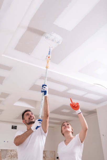 Best Attic Mold Removal  in Harris Hill, NY