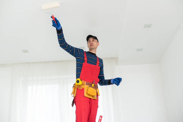 Best Airborne Mold Testing  in Harris Hill, NY