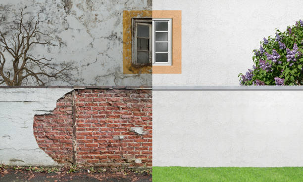 Best Environmental Consulting for Mold Prevention  in Harris Hill, NY
