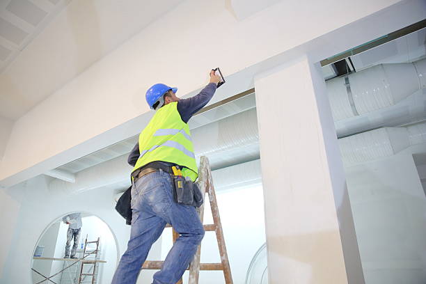 Best Dehumidification Services  in Harris Hill, NY