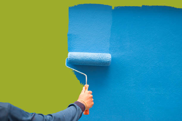 Professional Mold Removal in Harris Hill, NY
