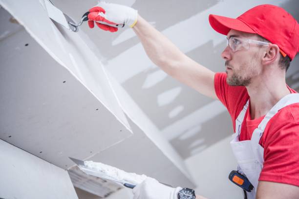  Harris Hill, NY Mold Removal Pros
